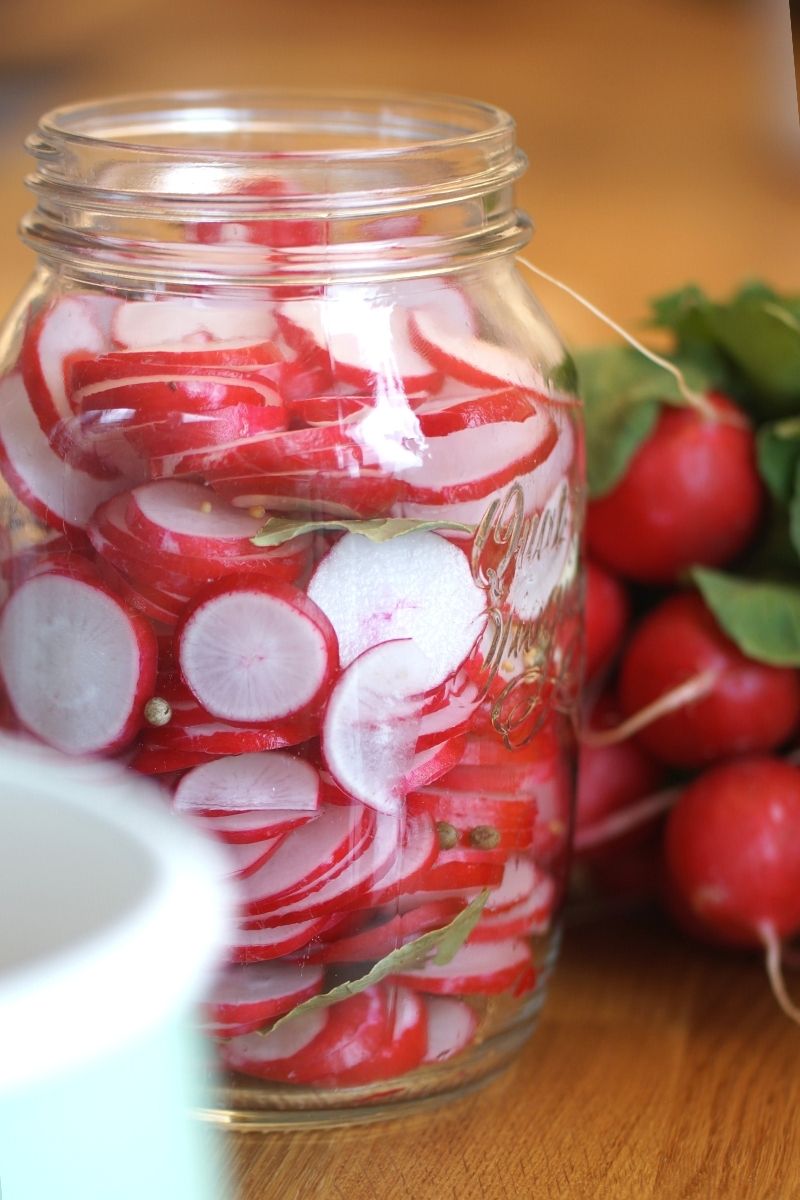 Rezept: Eingelegte Radieschen ohne Zucker