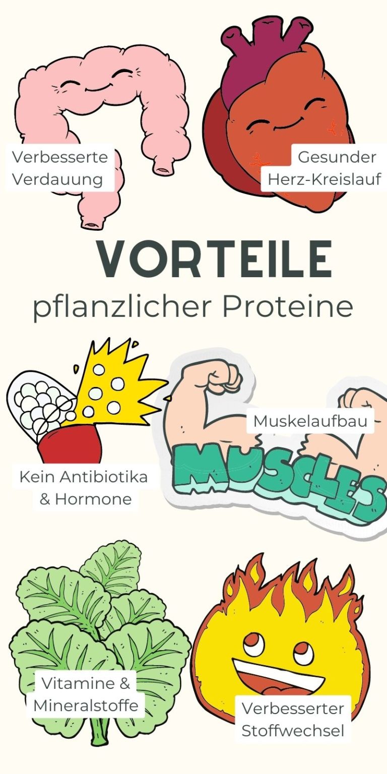 Infografik: Vorteile pflanzlicher Proteine