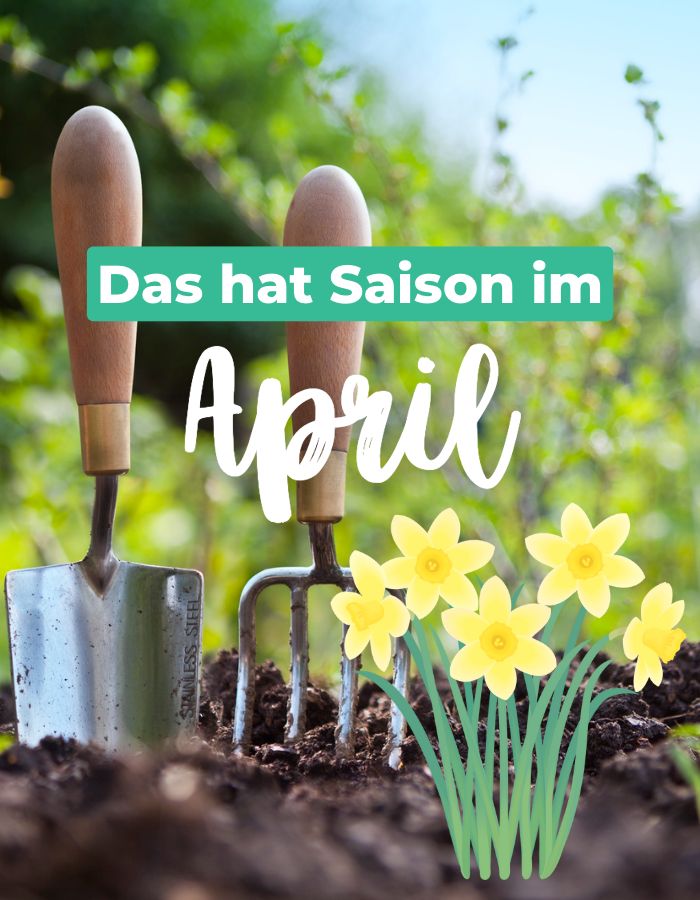 Read more about the article Saisonkalender April