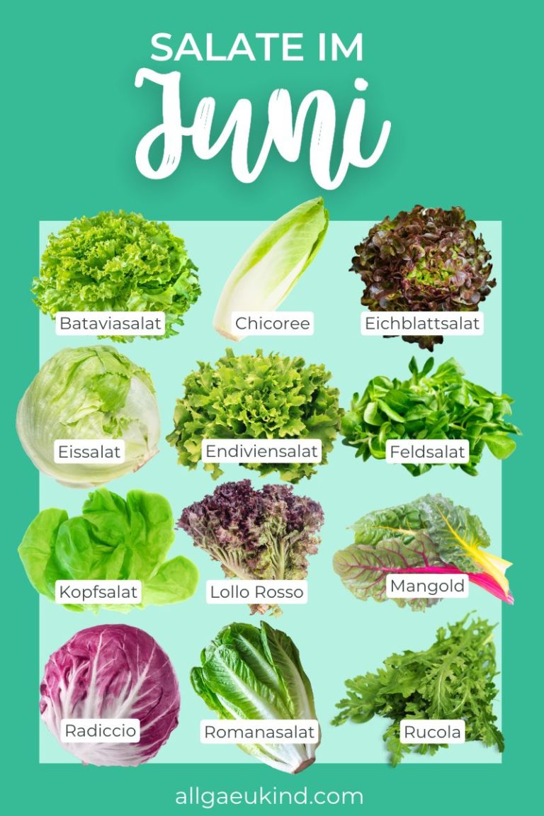 Infografik - Diese Salate haben im Juni Saison