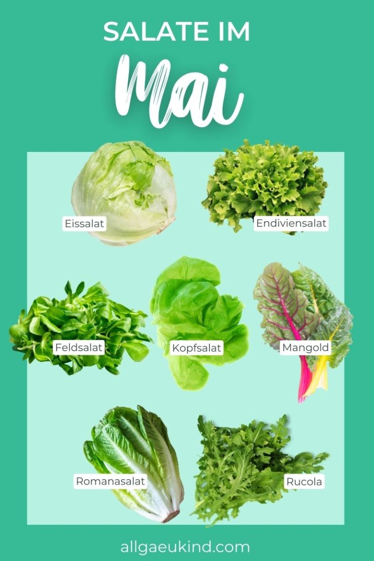 Infografik: Salate im Mai