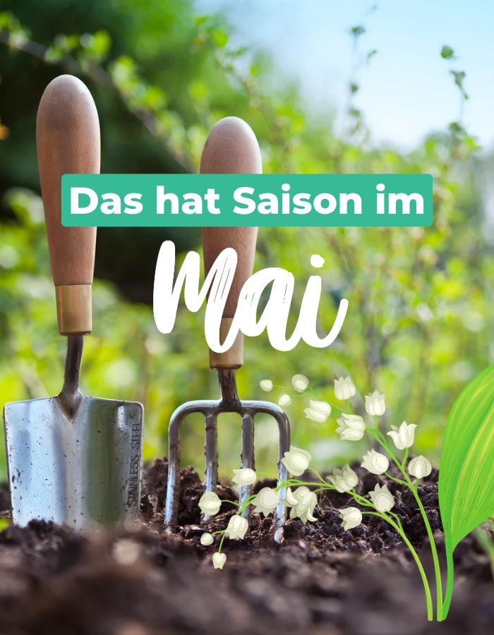 Read more about the article Saisonkalender Mai