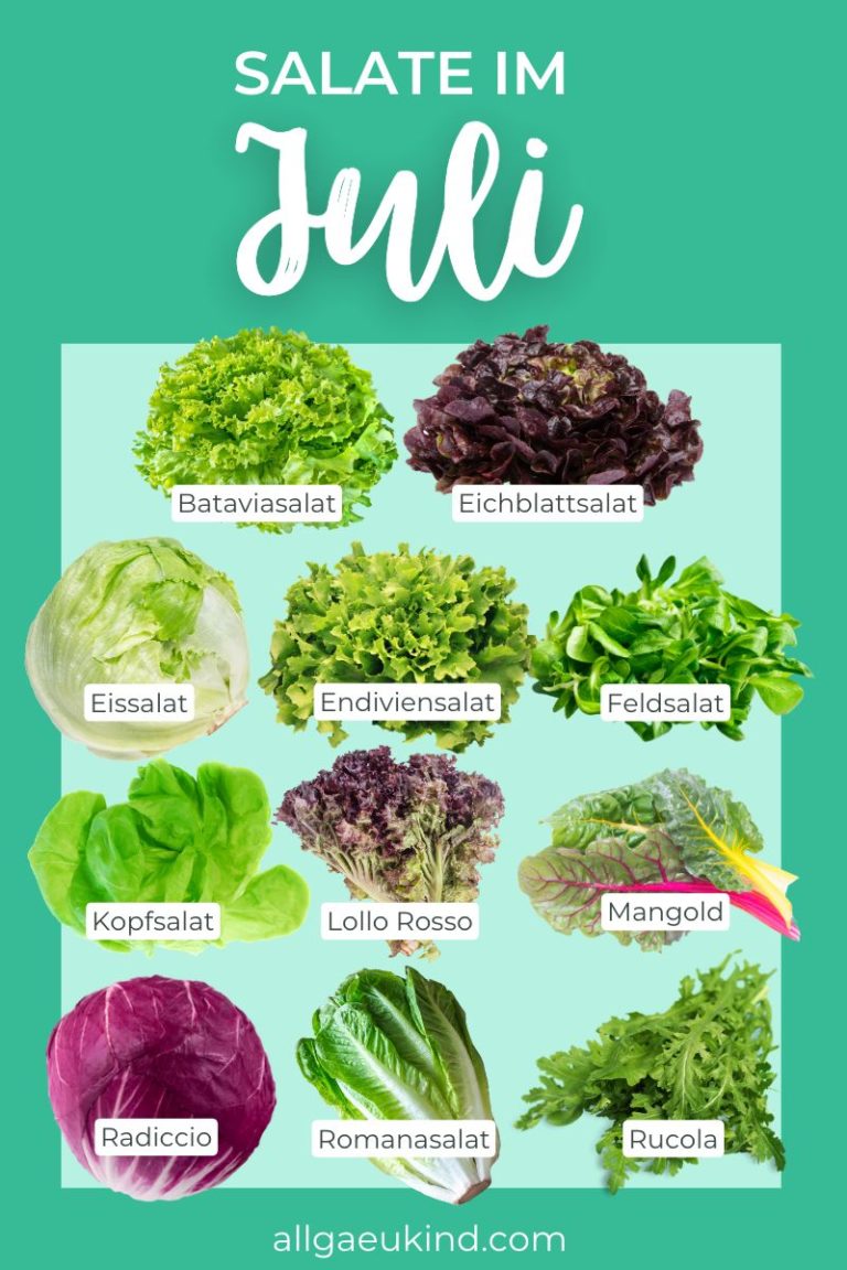 Infografik - diese Salate haben im Juli Saison
