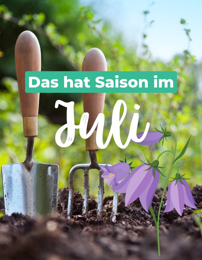 Read more about the article Saisonkalender Juli