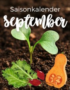 Das hat Saison im September