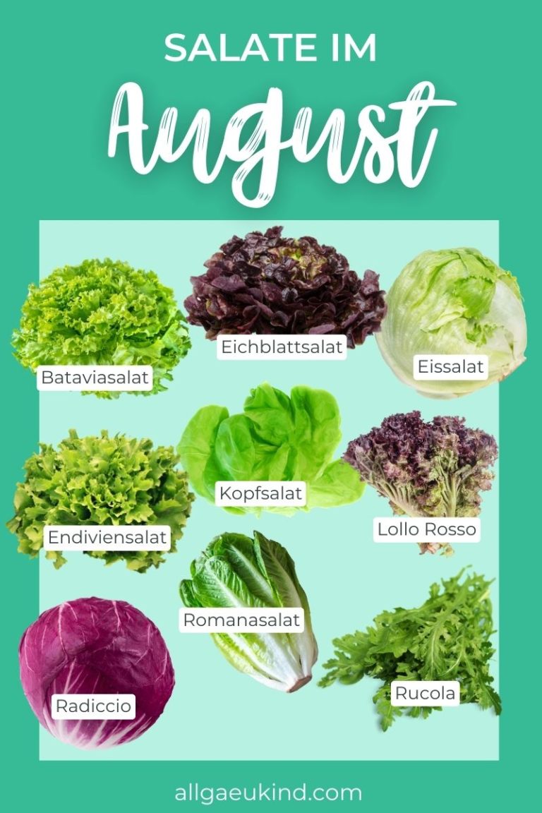 Infografik - Diese Salate haben im August Saison