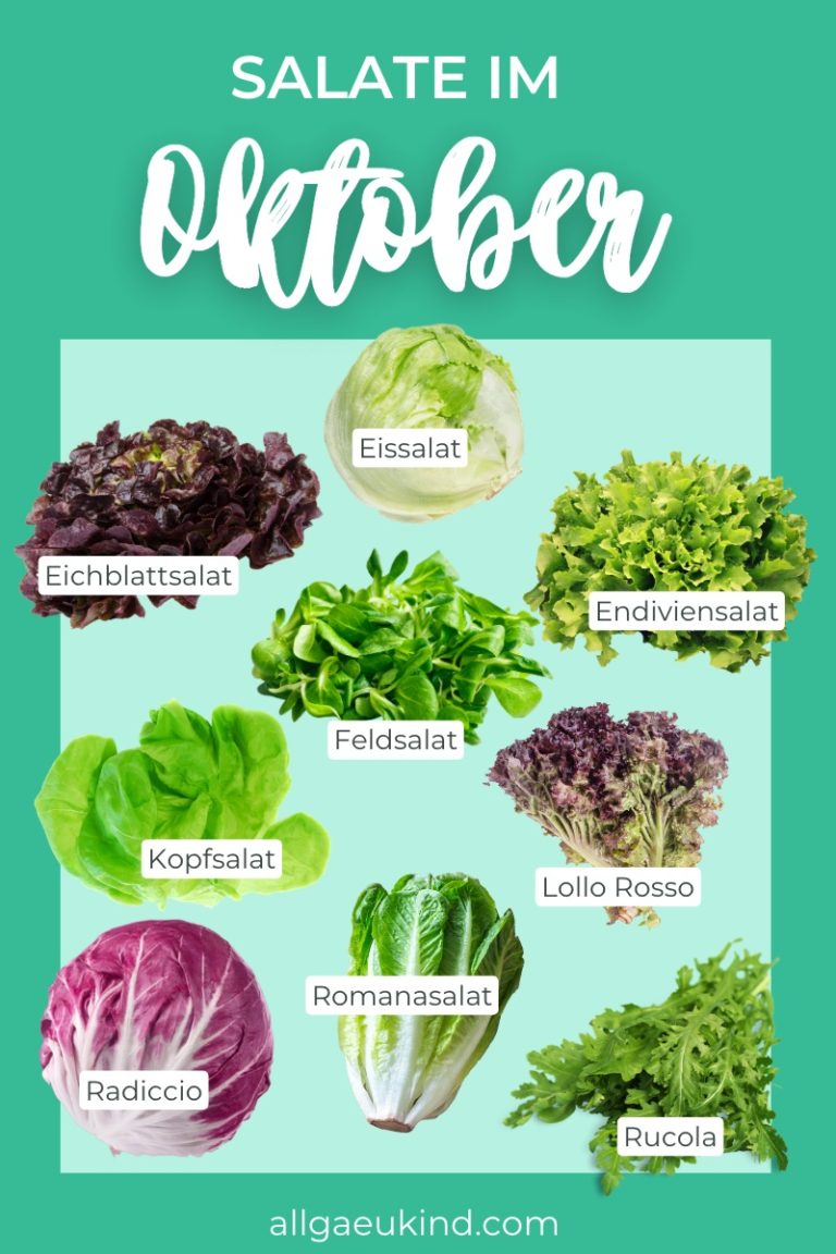 Infografik - Diese Salate haben im Oktober Saison