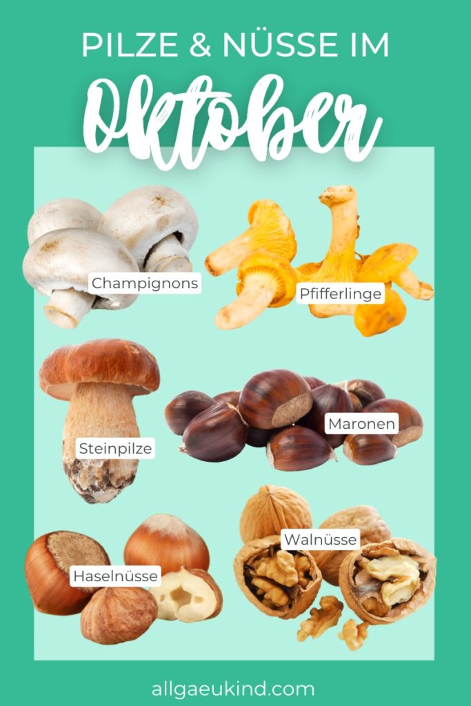 Infografik - Pilze und Nuesse im Oktober