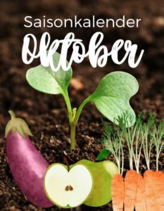 Saisonkalender im Oktober