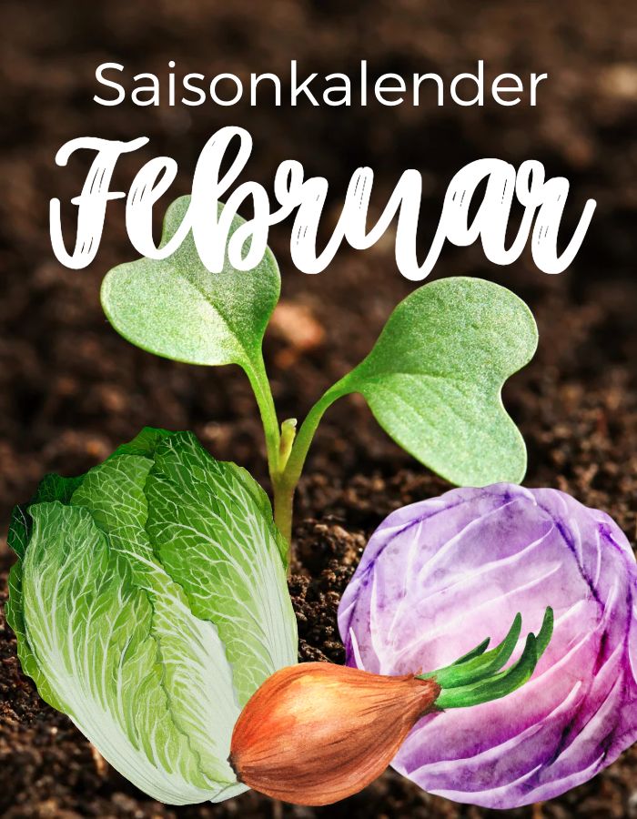 Saisonkalender im Februar