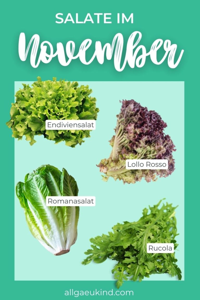 Infografik - Diese Salate haben im November Saison