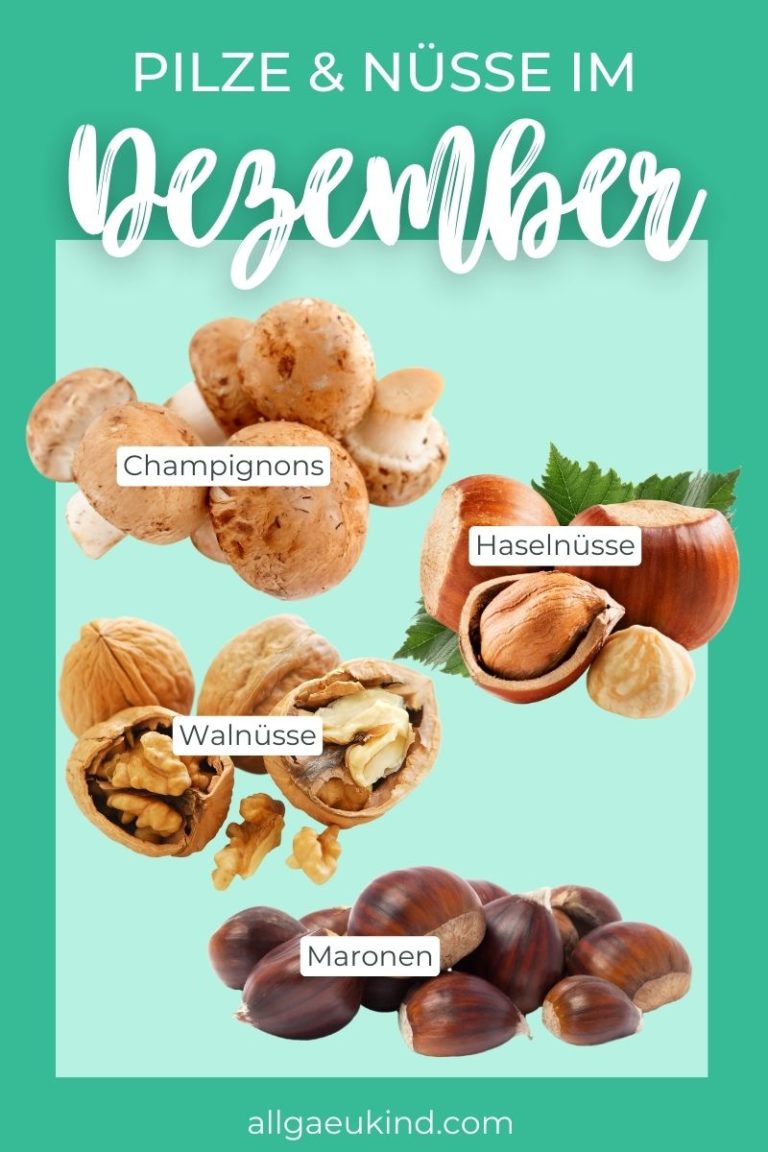 Infografik - Pilze und Nüsse im Dezember