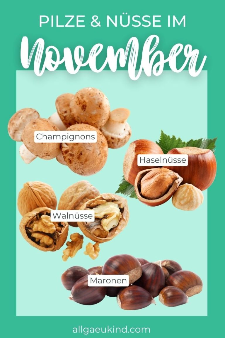 Infografik - Pilze und Nüsse im November